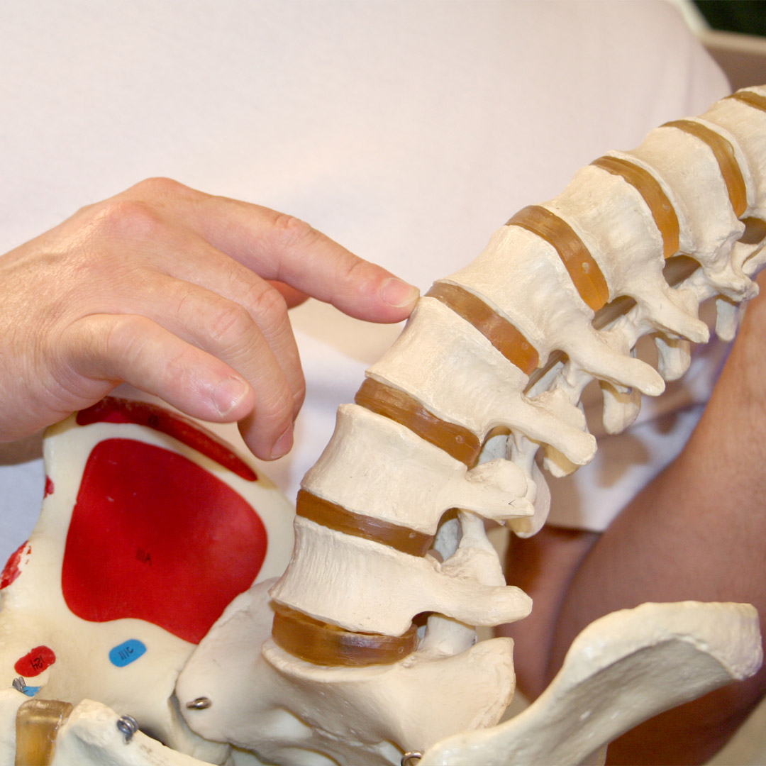 healthy bones